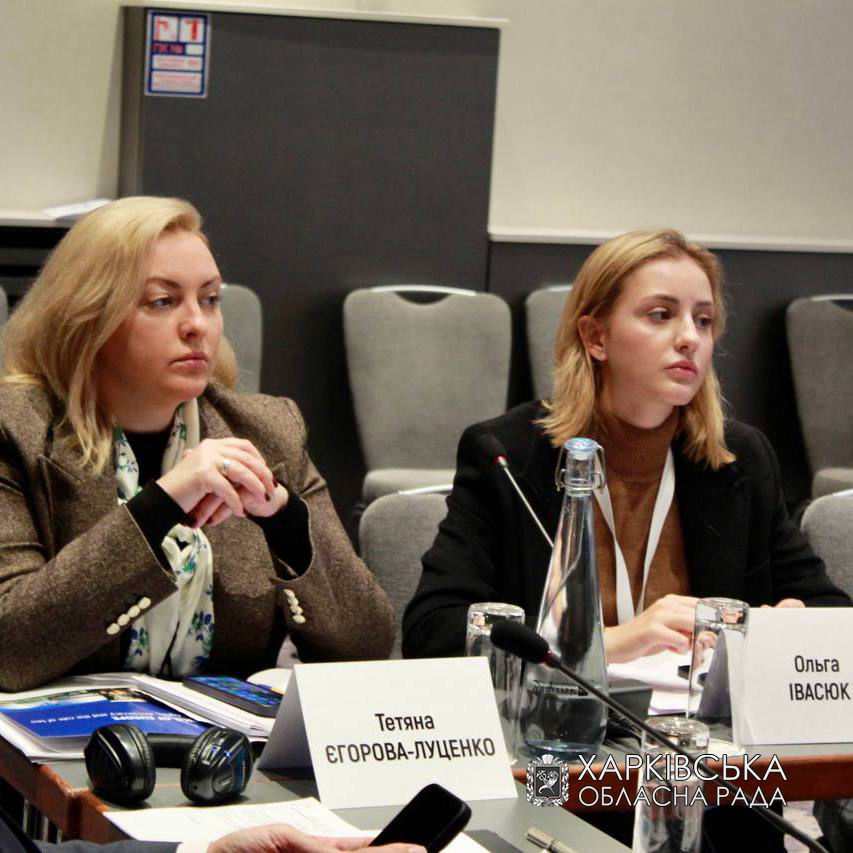 Тетяна Єгорова-Луценко взяла участь у експертних обговореннях щодо можливості проведення виборів