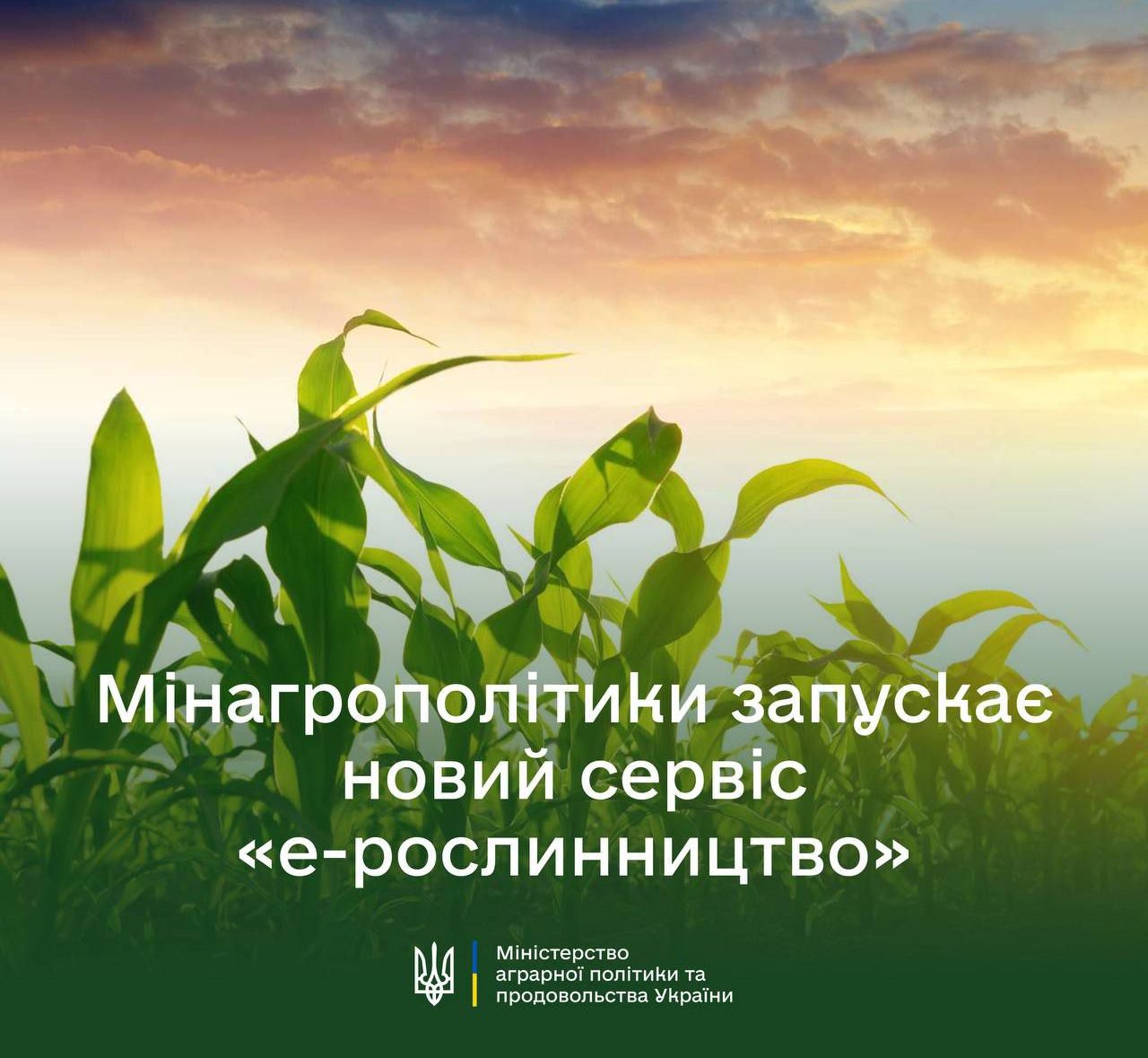 Міністерство аграрної політики та продовольства України запускає новий сервіс еРослинництво