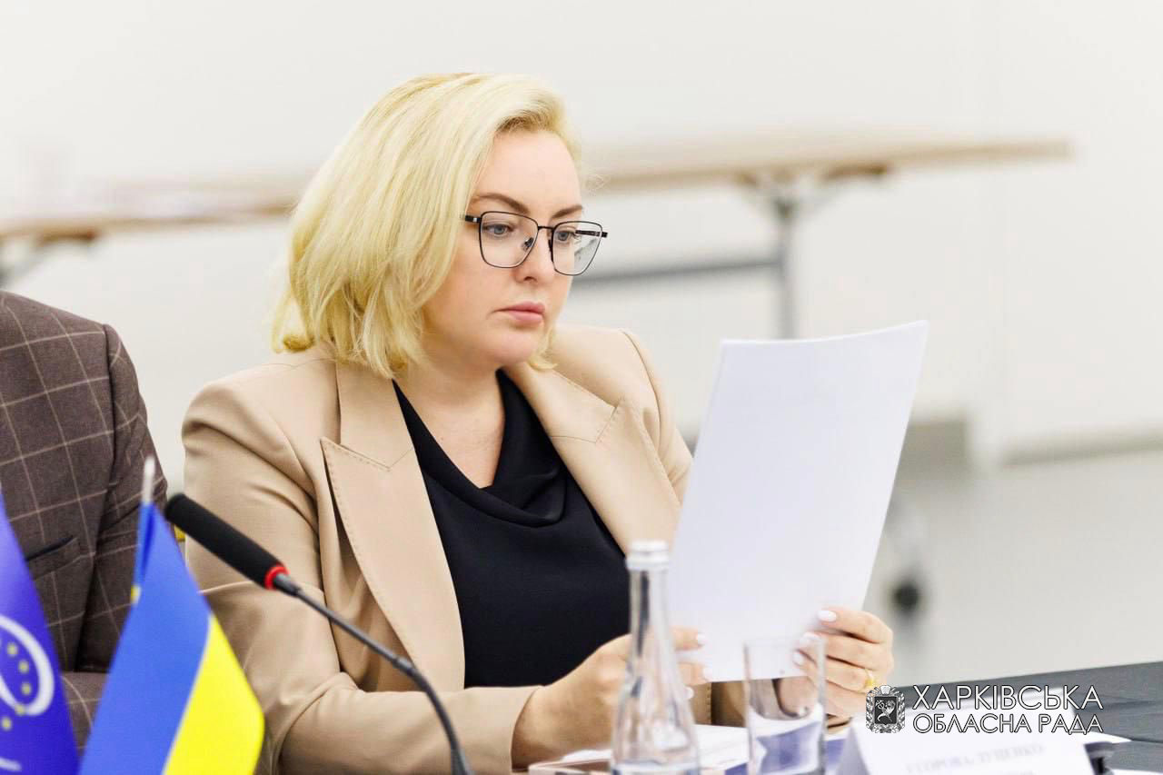Тетяна Єгорова-Луценко взяла участь у зустрічі в «Страсбурзькому форматі»
