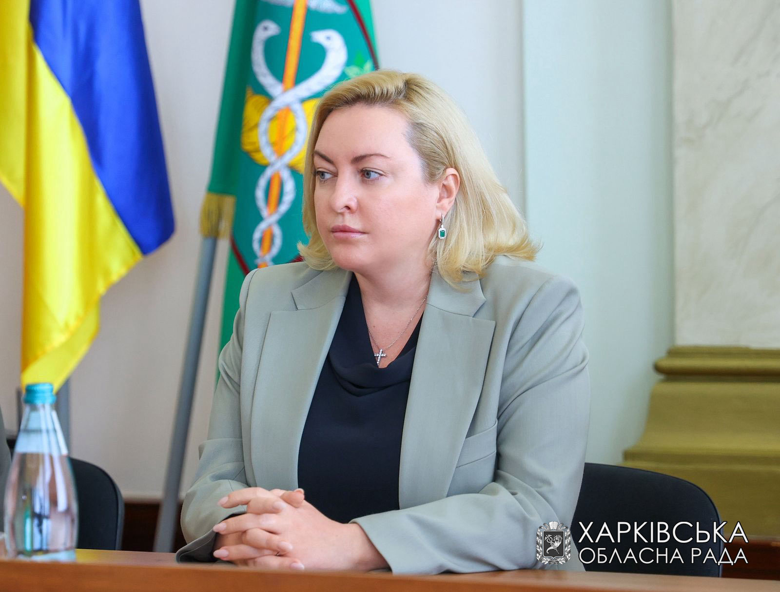 Тетяна Єгорова-Луценко привітала суддів з нагоди 20-річчя ухвалення Кодексу адміністративного судочинства України